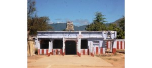 வாசுதேவநல்லூர்